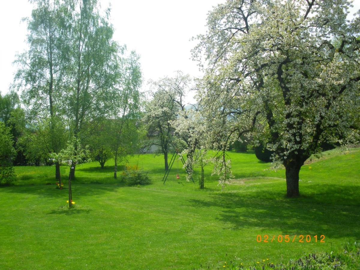 Entre Thur Et Montagne Bed & Breakfast Willer-sur-Thur Bagian luar foto